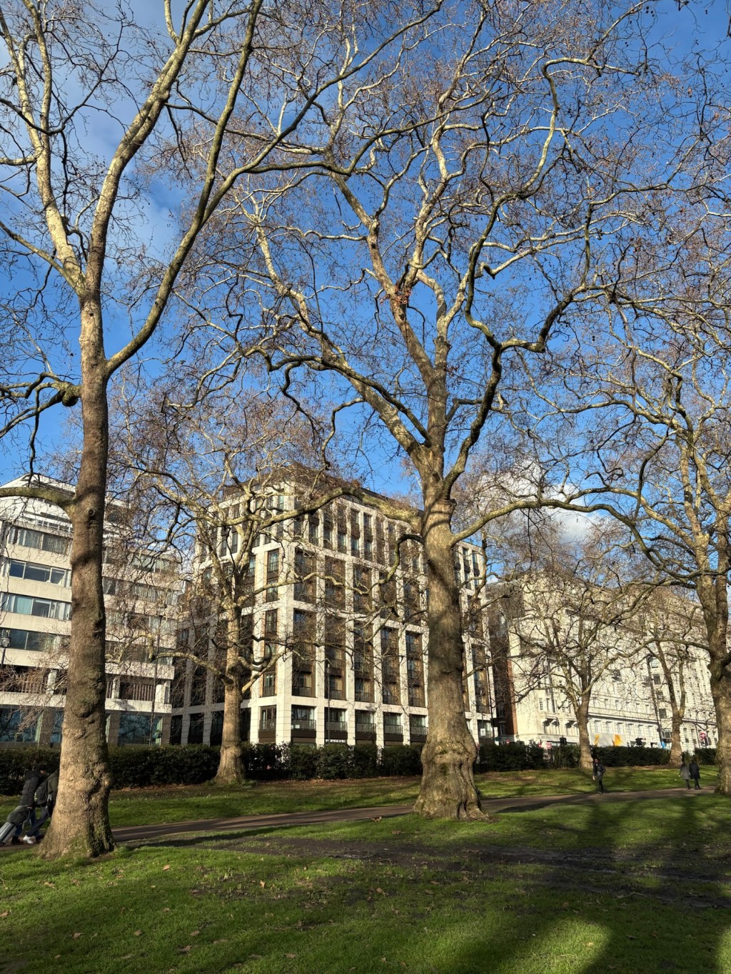 [생각] 밀땅의 달인; 영국 날씨”A Most Capricious Suitor: The British&nbsp;Weather”